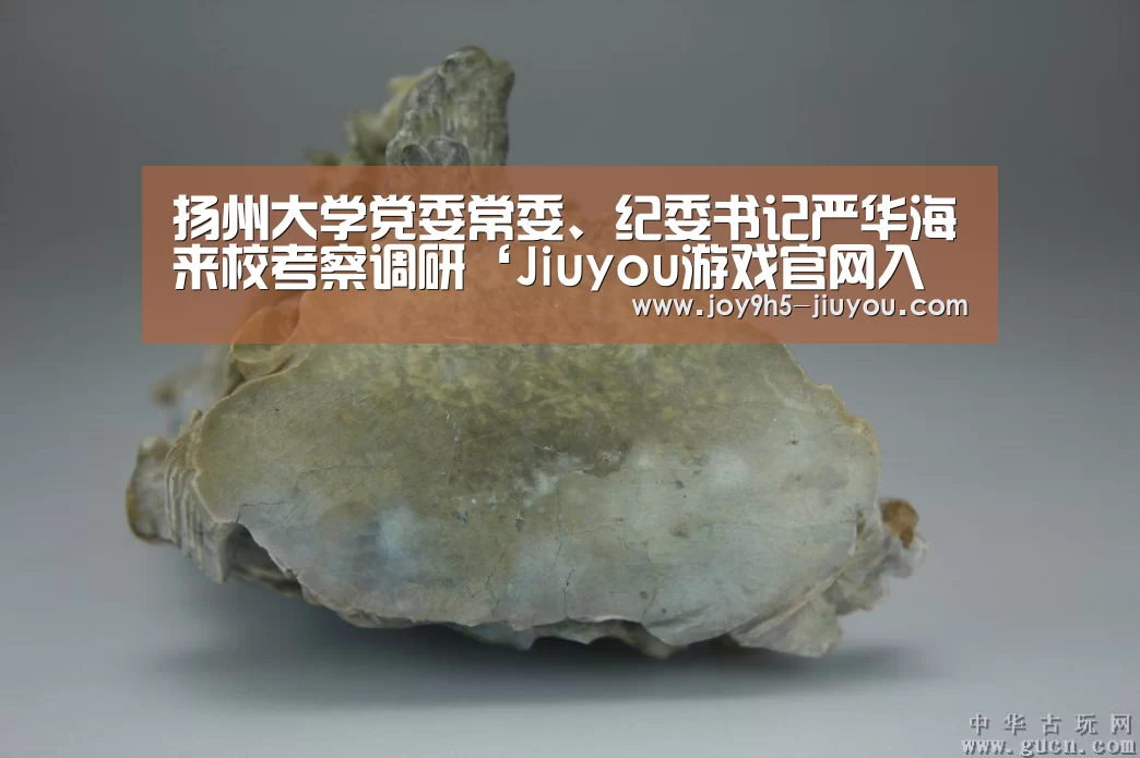 扬州大学党委常委、纪委书记严华海来校考察调研‘Jiuyou游戏官网入口’(图3) 九游体育