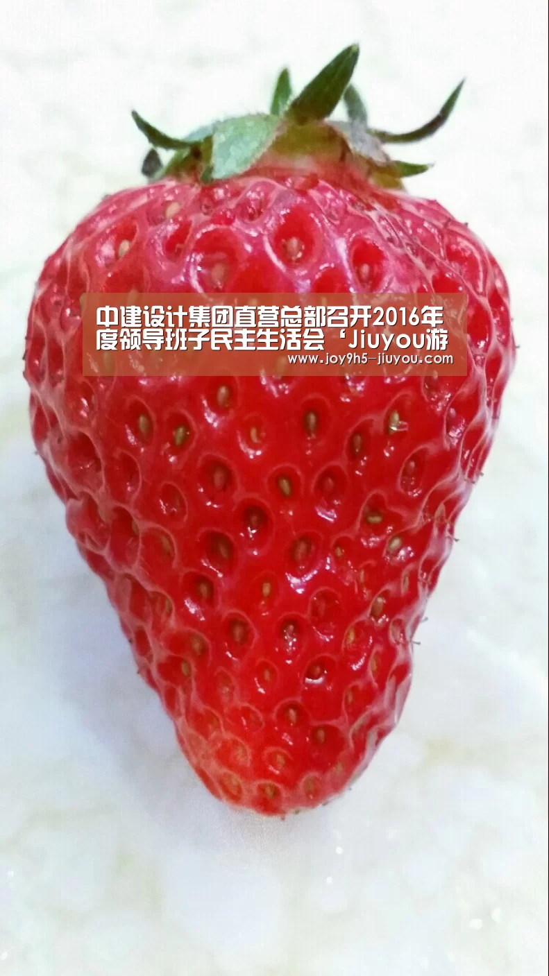 中建设计集团直营总部召开2016年度领导班子民主生活会‘Jiuyou游戏官网入口’(图2) 中建设计集团直营总部召开2016年度领导班子民主生活会‘Jiuyou游戏官网入口’(图2)
